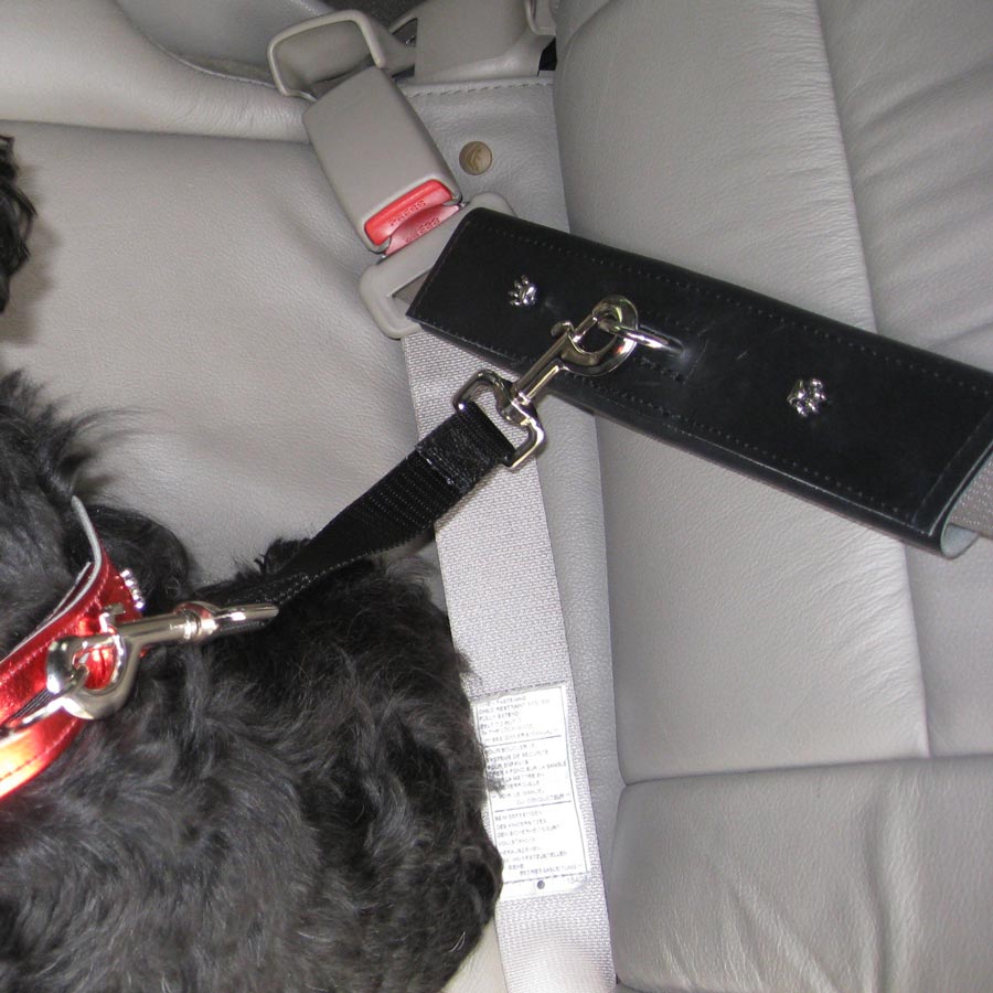 Free dog seat belt hotsell